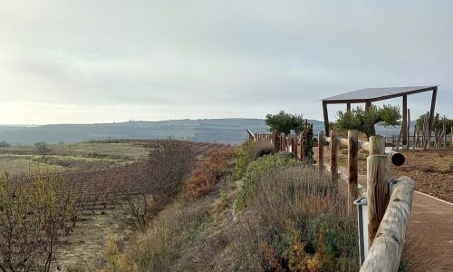 Mirador picnic Fernandez de Pierola Diciembre 2021 (1)