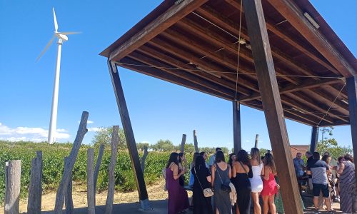 Mirador de Bodegas Fernández Piérola